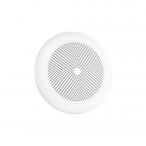 WP 5 weatherproof ceiling speakers